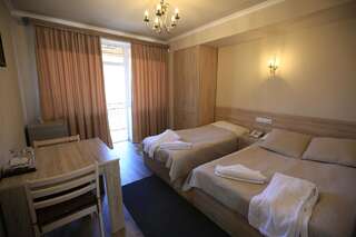 Отель Jermuk Ani Hotel Джермук Стандартный двухместный номер с 2 отдельными кроватями и видом на сад-6